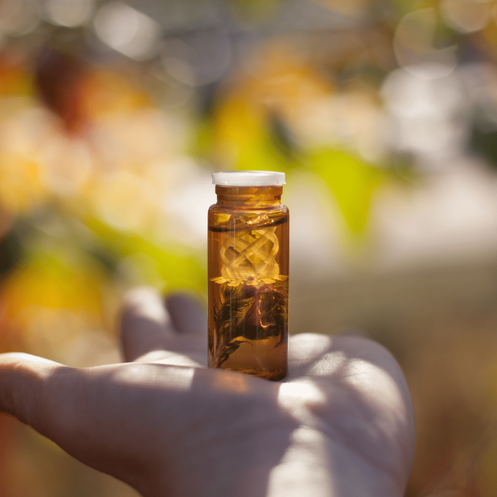 Variedad de aceites esenciales promocionados en Unión por el Bienestar, utilizados para terapias de aromaterapia y bienestar holístico